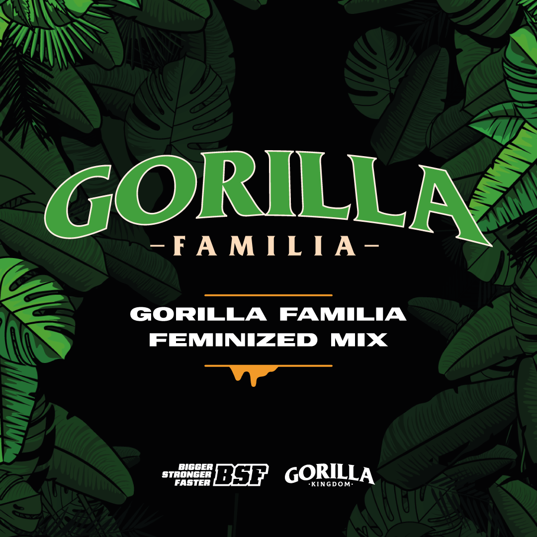 PIEZAS-WEB-GORILLA-KINGDOM-BSF-GORILLA-FAMILIA-1